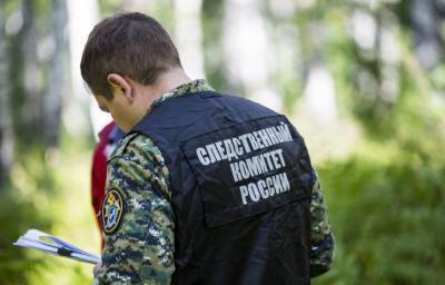 Пропавшие в Тверской области подростки нашлись
