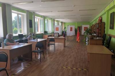 Явка избирателей в Смоленской области на 12 дня оставила 20,64 процента