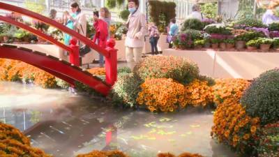 В Ботаническом саду МГУ проходит фестиваль «Краски осени».