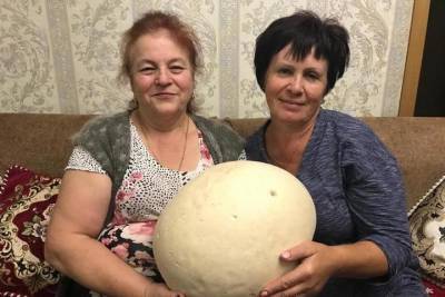 В Рязанской области нашли гриб-дождевик весом в 3,5 кг