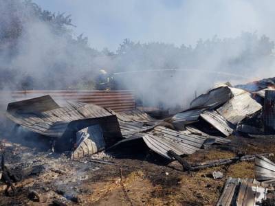 Пожар под Мелитополем: погибли 4 коровы