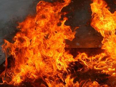 На Херсонщине произошел пожар в жилом доме, пострадали дети