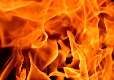На пожаре в Пронском районе погиб 52-летний мужчина