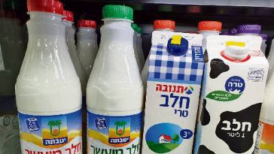 Израилю угрожает дефицит молока: экстремальная жара уменьшила надои