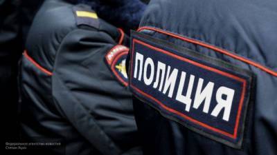 Похитителей мужчины на чужом Kia Rio задержали в Петербурге