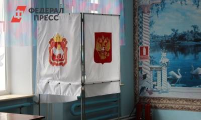 Перед закрытием избирательных участков явка в Челябинской области составила 31,06 %