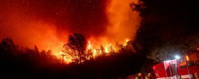 28 человек стали жертвами природных пожаров в США
