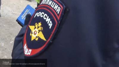 Избившие и похитившие мужчину мигранты задержаны в Петербурге