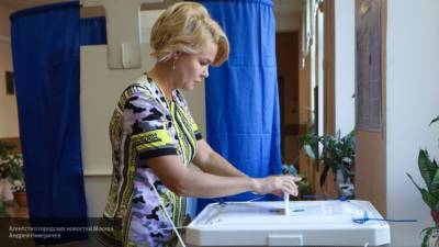 Директор НОМ Булгакова рассказала о провокациях в единый день голосования