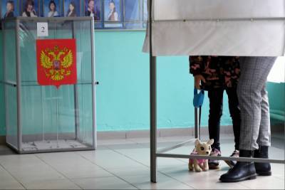 Только 19% избирателей НАО проголосовали за губернатора Архагельской области к 18:00