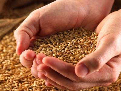 Украина экспортировала больше 9 млн тонн зерна
