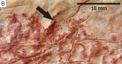 Доисторических художников опознали по отпечаткам пальцев