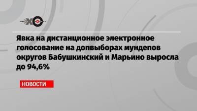Явка на дистанционное электронное голосование на допвыборах мундепов округов Бабушкинский и Марьино выросла до 94,6%