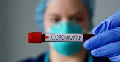 В Чехии началась вторая волна эпидемии коронавируса - unn.com.ua - Киев - Чехия - Prague