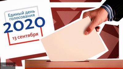 Общественных нарушений в единый день голосования в РФ не выявлено — МВД