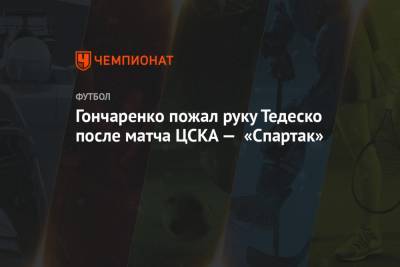 Гончаренко пожал руку Тедеско после матча ЦСКА — «Спартак»