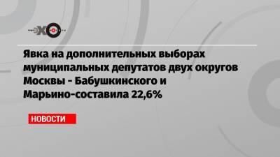 Явка на дополнительных выборах муниципальных депутатов двух округов Москвы — Бабушкинского и Марьино-составила 22,6%