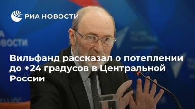 Вильфанд рассказал о потеплении до +24 градусов в Центральной России
