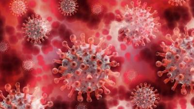 ВОЗ рапортует о рекордном росте коронавируса по всему виру