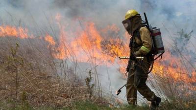 Спецслужбы США изучают видео, где над лесом распыляют зажигательную смесь