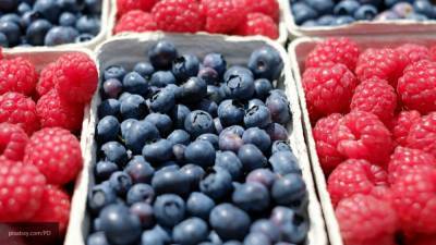 Агроном рассказала, почему ягоды и фрукты теряют пользу при заморозке