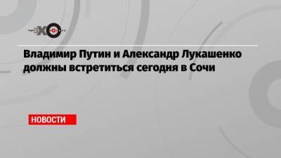 Владимир Путин и Александр Лукашенко должны встретиться сегодня в Сочи