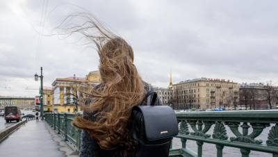 В Петербурге сохранится ветреная погода, дождей не обещают