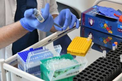 ВОЗ зафиксировала рекордный суточный прирост новых случаев коронавируса