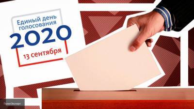 Предварительные итоги выборов депутатов Госсовета Коми попали в Сеть