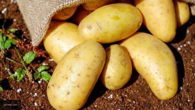 Картофельный союз не видит причин для подорожания картофеля в РФ