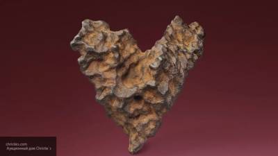 Осколок метеорита случайно нашел в лесу грибник из Бийска