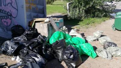 Активисты собрали 33 мешка мусора в результате уборки на Васильевском острове