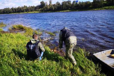 В реке Сясь у детского санатория нашли пакет с женскими руками и ногами
