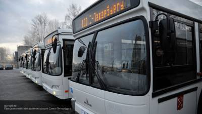 Петербуржцам сообщили маршрут автобусов во время матча "Зенит" — "Арсенал"