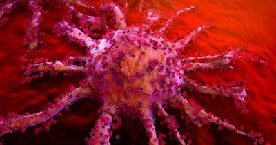 Золотые наночастицы выжигают рак изнутри: новая терапия