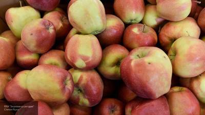 Диетолог рассказал, сколько яблок нужно есть в день для пользы организму