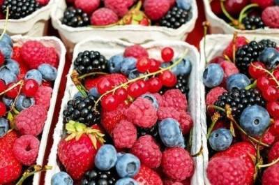 Елизавета Тихонова - Агроном назвала традиционную ошибку при хранении фруктов и овощей - pnp.ru