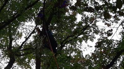 В Крыму парапланерист запутался в деревьях