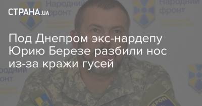 Под Днепром экс-нардепу Юрию Березе разбили нос из-за кражи гусей