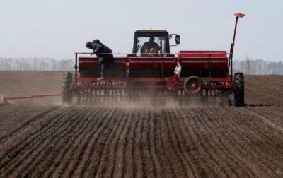 В Одесской области фермеры призывают власть компенсировать убытки в связи с засухой