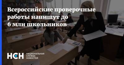 Всероссийские проверочные работы напишут до 6 млн школьников
