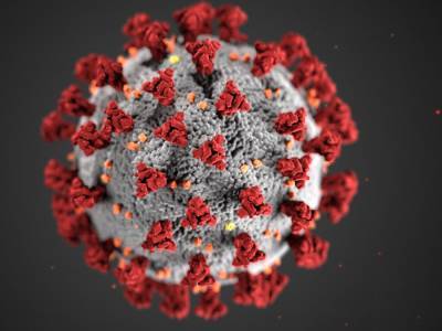 50 смертей в день: Ученые спрогнозировали развитие эпидемии коронавируса в Украине