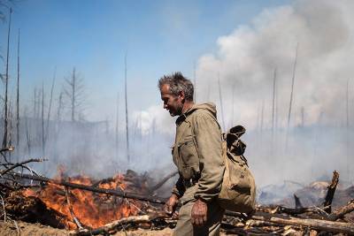 Мишустин выделил средства на восстановление сгоревших лесов