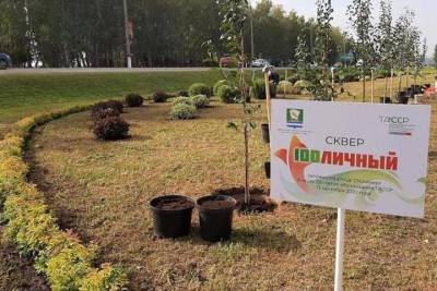 Посвященный 100-летию ТАССР «100личный» сквер появится в Зеленодольске
