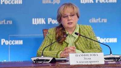 Памфилова назвала число поступивших в ЦИК жалоб по итогам выборов