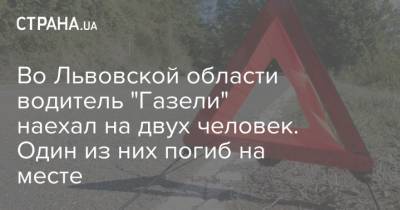 Во Львовской области водитель "Газели" наехал на двух человек. Один из них погиб на месте