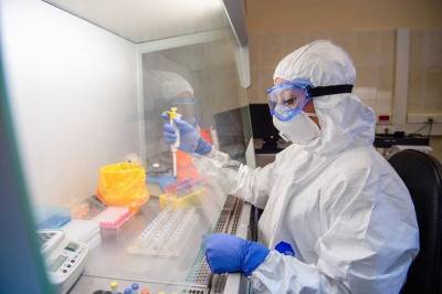 Обнаружены биомолекулы, способные подавлять коронавирусы