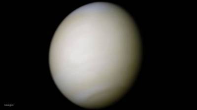 Ученые нашли косвенное доказательство существования жизни на Венере