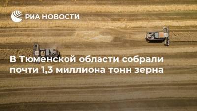 В Тюменской области собрали почти 1,3 миллиона тонн зерна