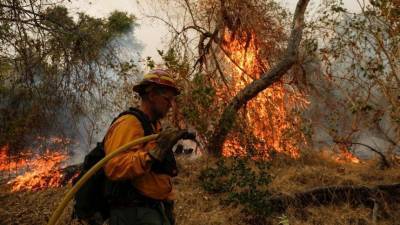 Огонь калифорнийских пожаров перекинулся во всемирную сеть: Кого назначили поджигателем?